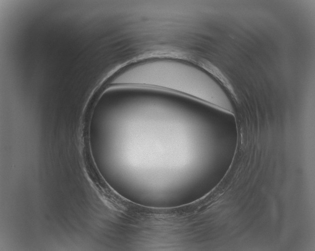 X0000075840436200609150916