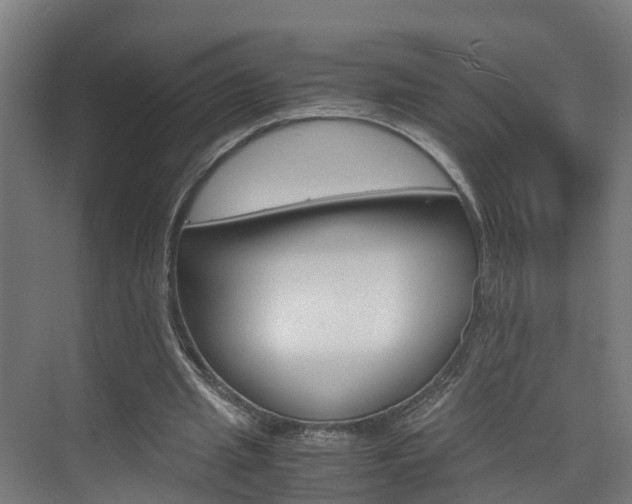 X0000075840437200609150916