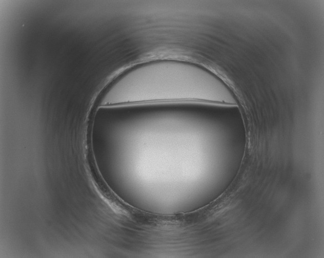 X0000075840438200609150916