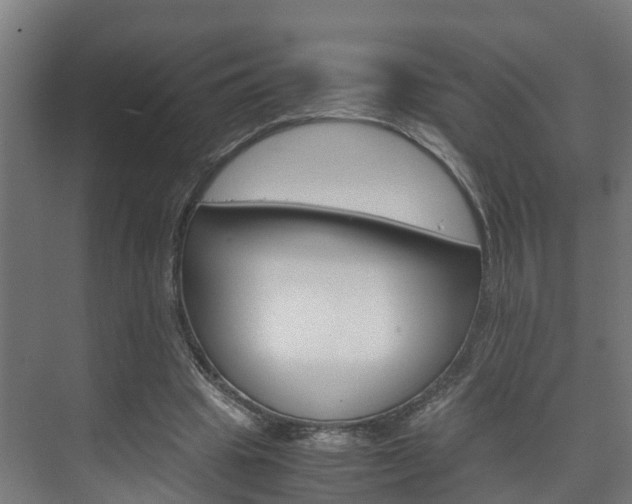 X0000075840441200609150916