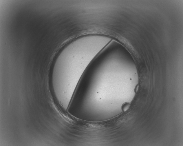 X0000075840442200609150916