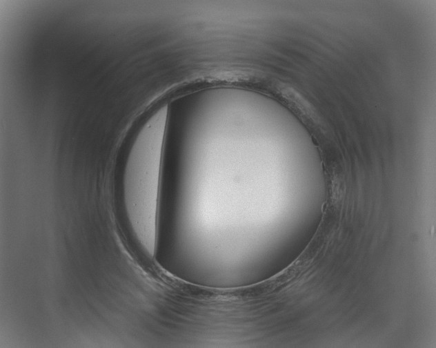 X0000075840444200609150916