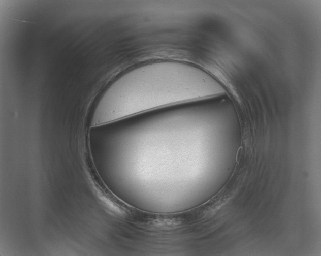 X0000075840445200609150916