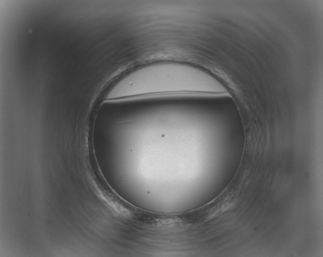 X0000075840446200609150916