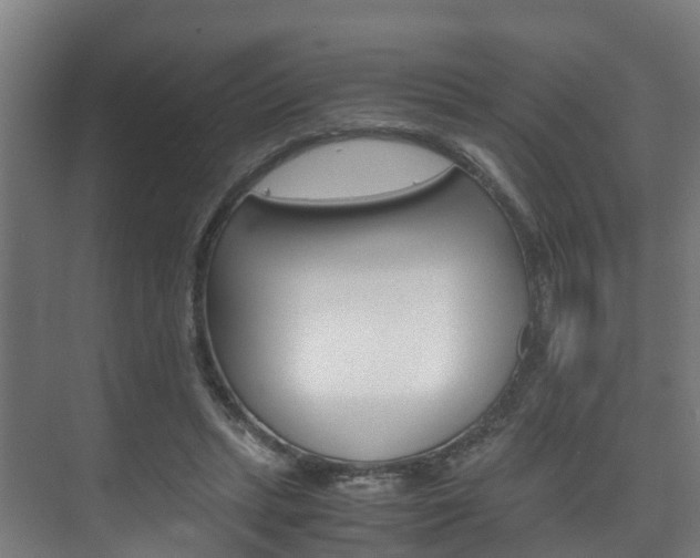 X0000075840447200609150916