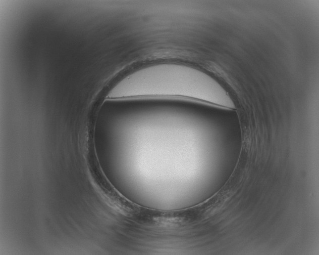 X0000075840448200609150916