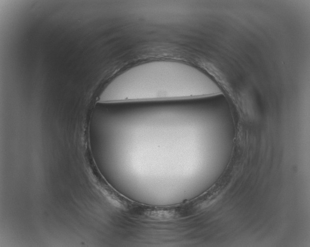 X0000075840449200609150916