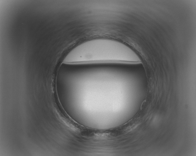 X0000075840450200609150916