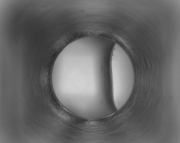 X0000075840451200609150916