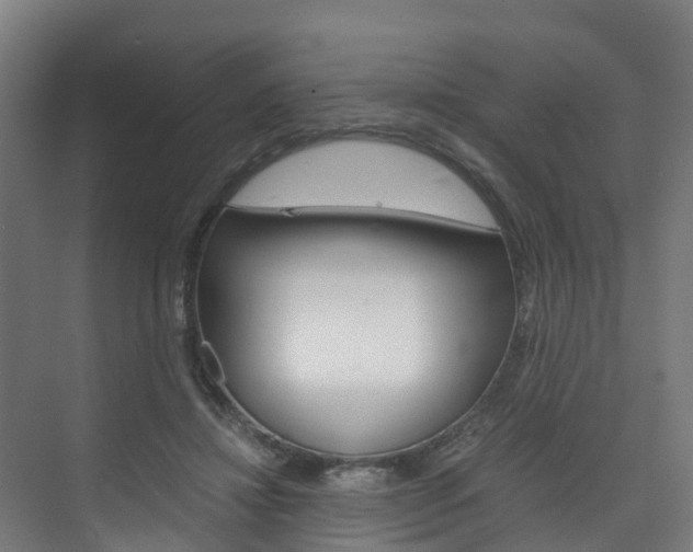 X0000075840452200609150916