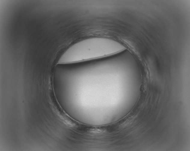 X0000075840453200609150916