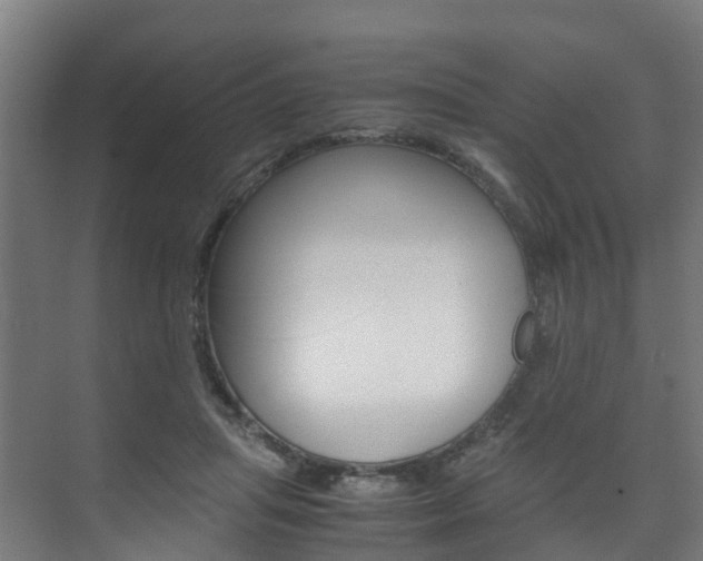 X0000075840455200609150916