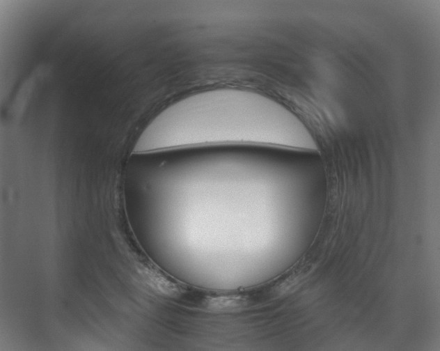 X0000075840461200609150916