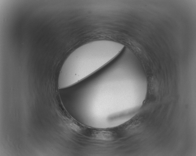 X0000075840463200609150916