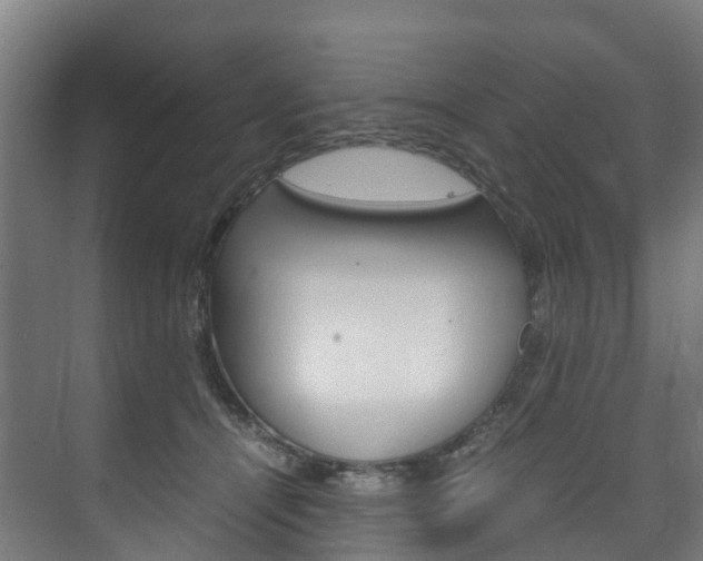 X0000075840464200609150916