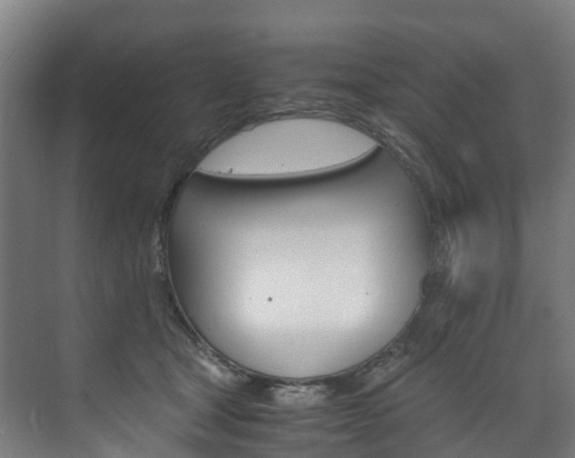 X0000075840465200609150916