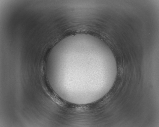 X0000075840468200609150916