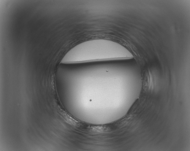 X0000075840473200609150916