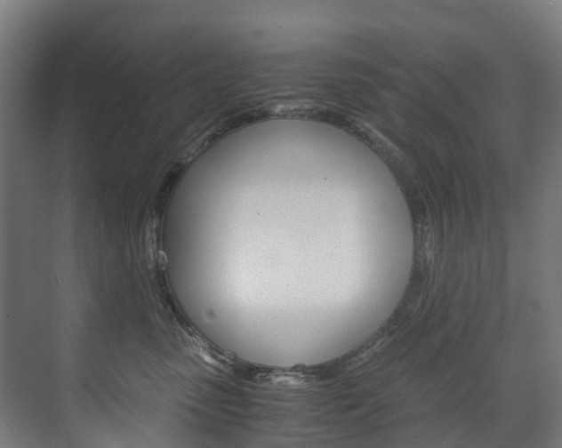 X0000075840475200609150916