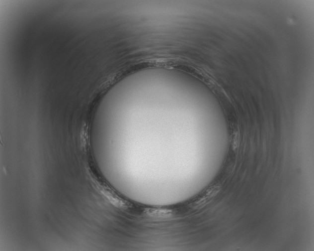 X0000075840476200609150916