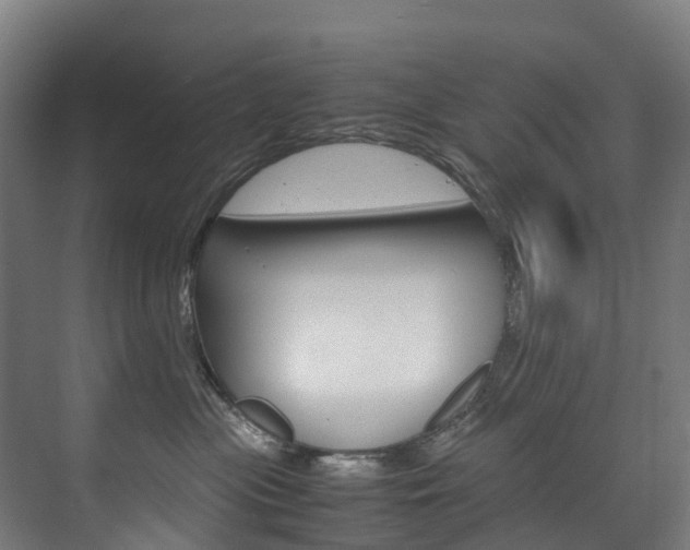 X0000075840477200609150916