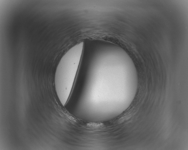 X0000075840480200609150916