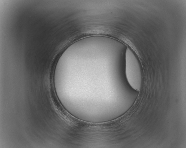 X0000075840482200609150916