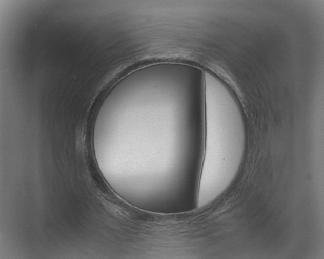 X0000075840483200609150916