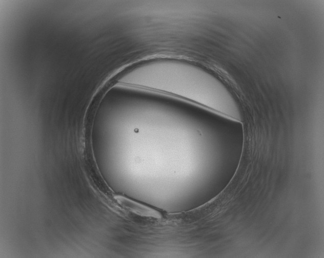 X0000075840484200609150916