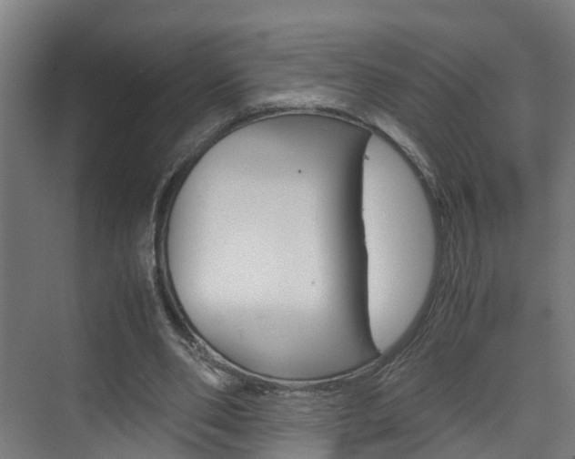 X0000075840486200609150916