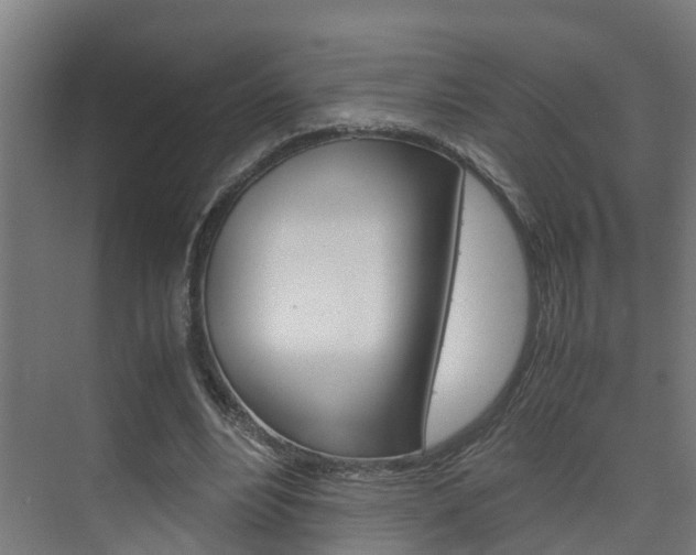 X0000075840488200609150915