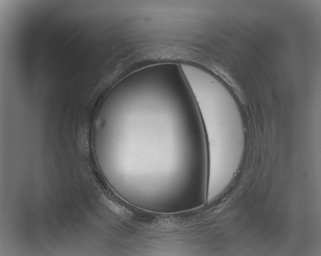 X0000075840489200609150915