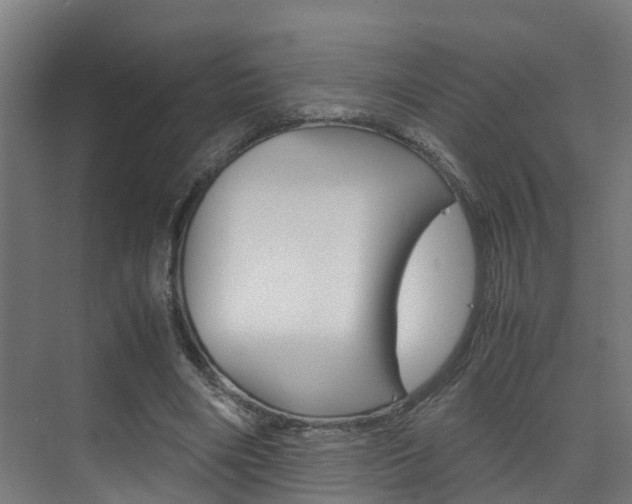 X0000075840490200609150915