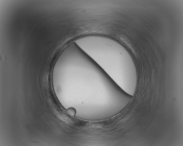 X0000075840491200609150915