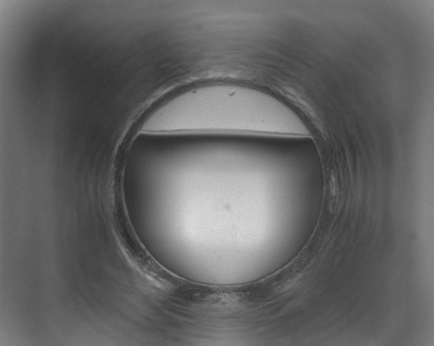 X0000075840492200609150915