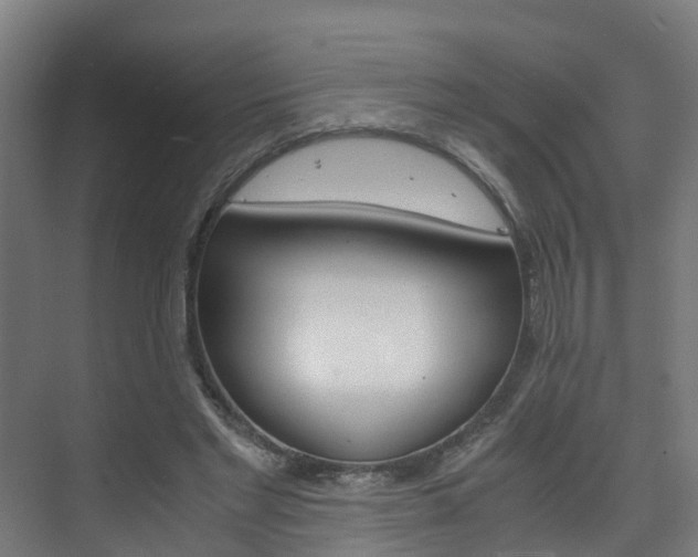 X0000075840493200609150915