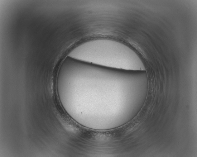 X0000075840494200609150915