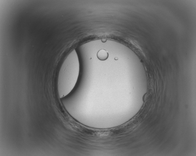 X0000075840495200609150915