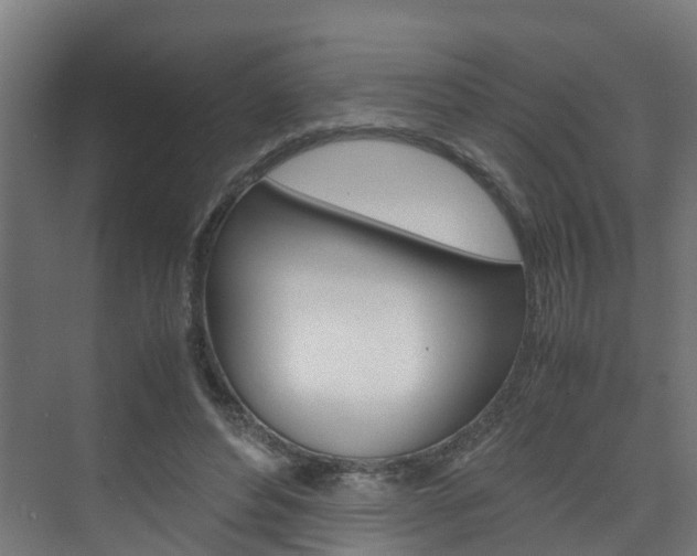 X0000075840496200609150915