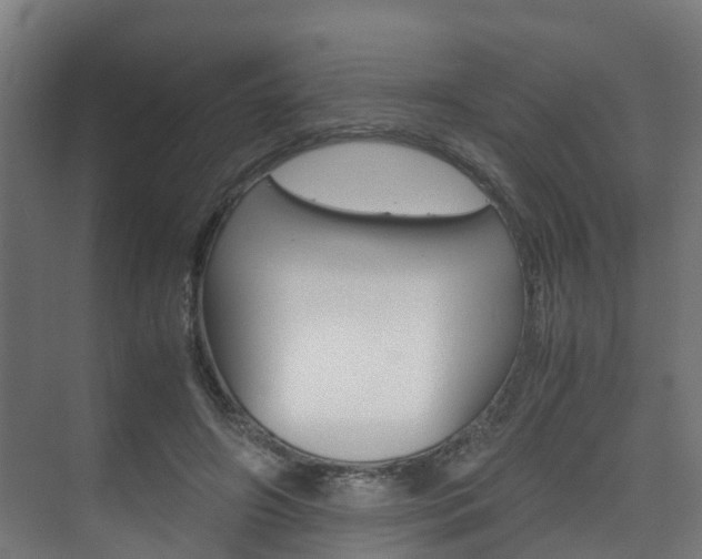 X0000075840498200609150915