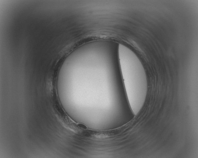 X0000075840500200609150915