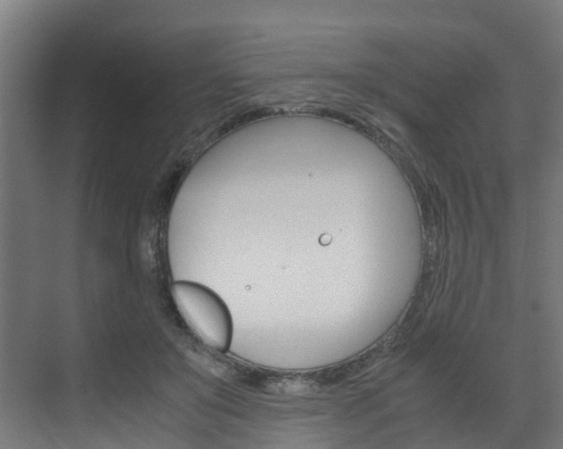 X0000075840503200609150915