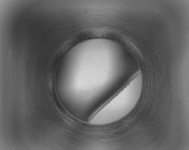 X0000075840505200609150915