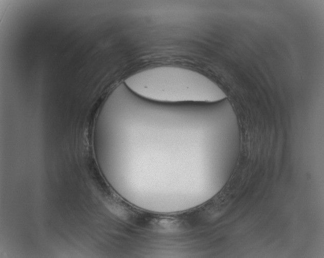 X0000075840506200609150915