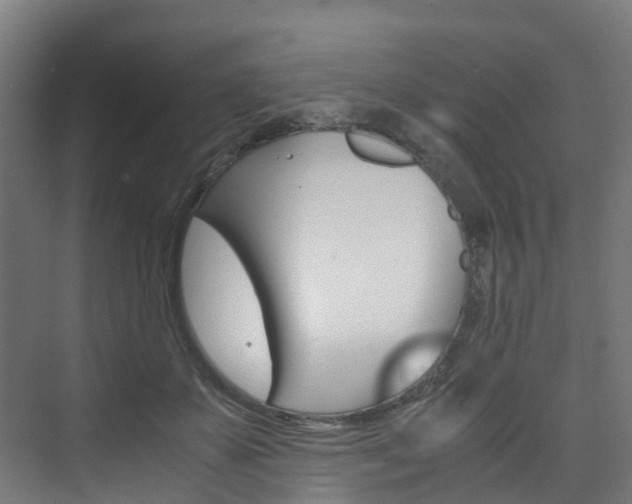 X0000075840507200609150915