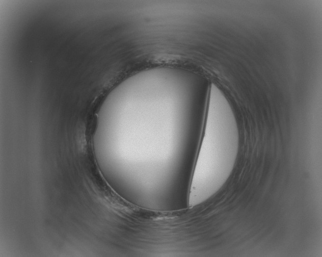 X0000075840508200609150915