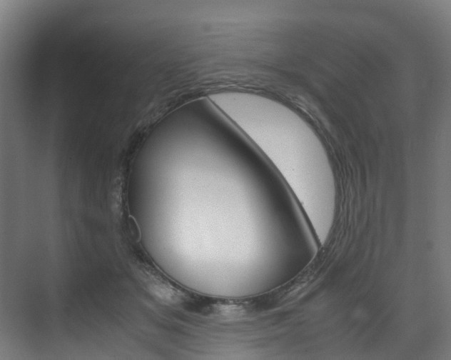 X0000075840509200609150915