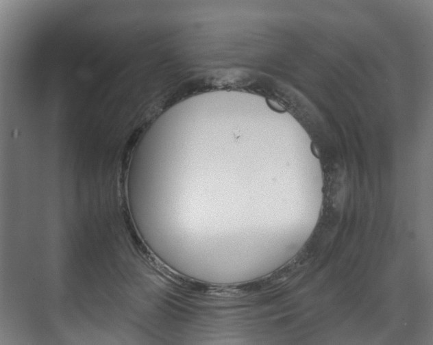 X0000075840510200609150915