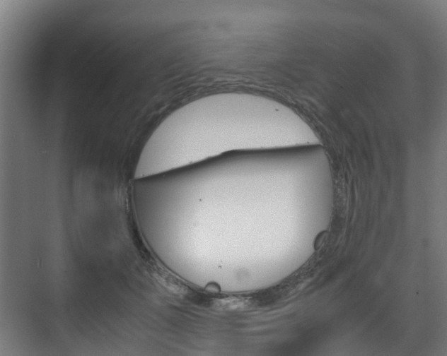 X0000075840511200609150915