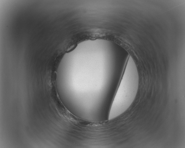 X0000075840512200609150915